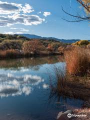 Verde River Access