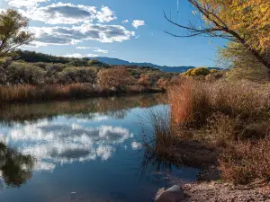 Verde River Access