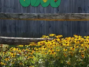 Great Vermont Corn Maze