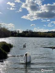 Holmebrook Valley Country Park