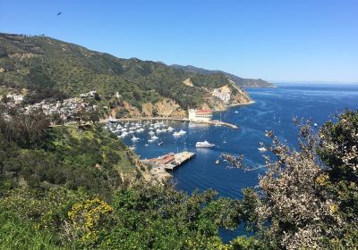 Nature Center at Avalon Canyon