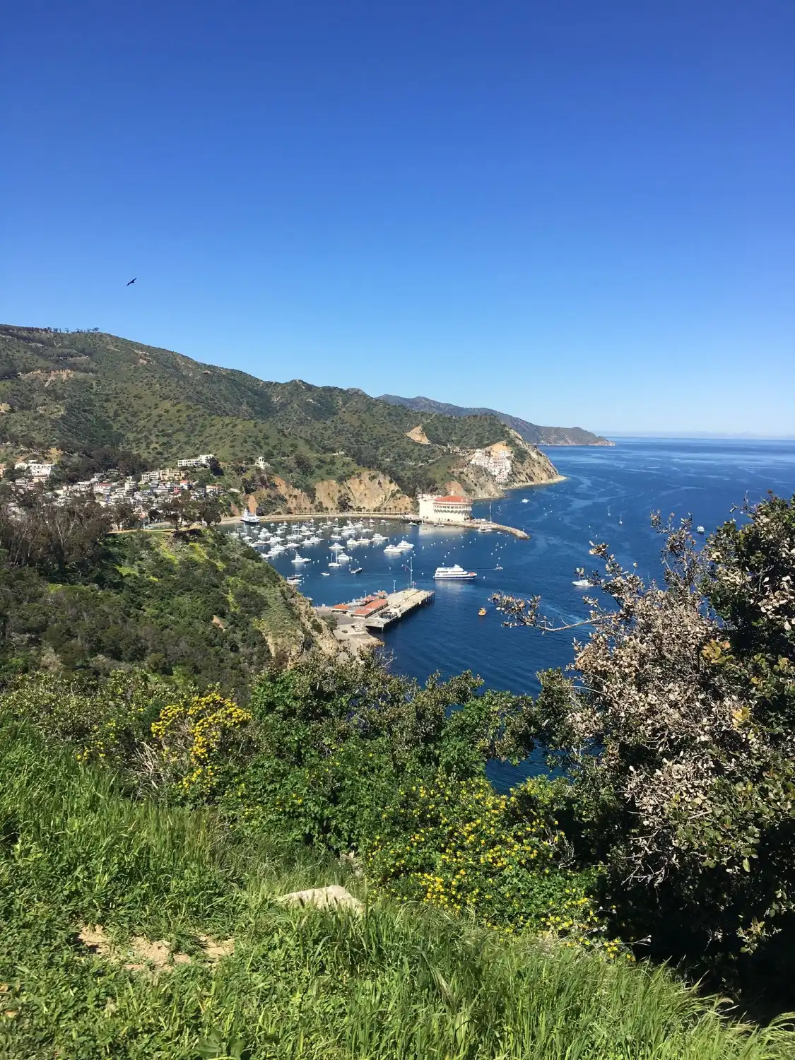 Hotels near Nature Center at Avalon Canyon