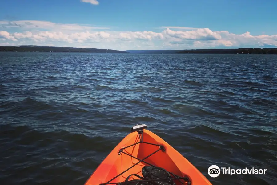 Owasco Paddles