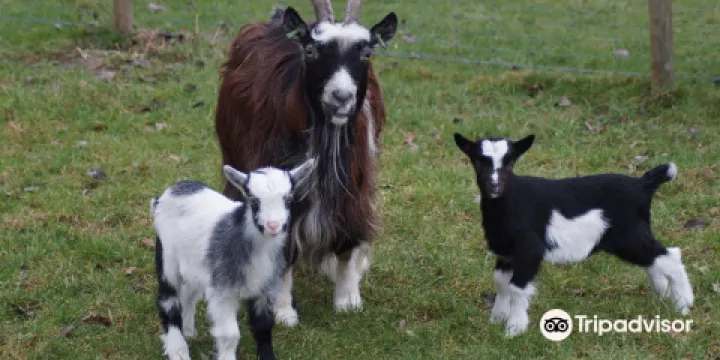 Kinderboerderij Minnebeek