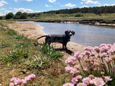 Belhaven Bay Beach