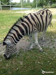 Greenview Aviaries Park and Zoo