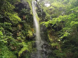 Mallyan Spout Waterfall