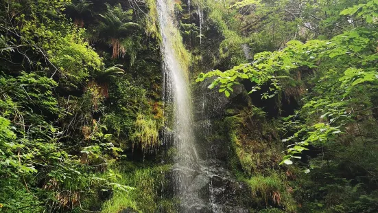 Mallyan Spout Waterfall