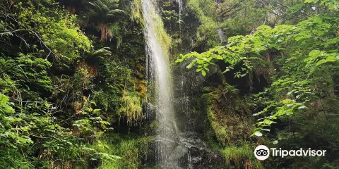 Mallyan Spout Waterfall