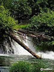 Brewery Park at Tumwater Falls