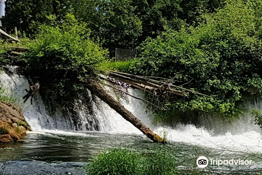 Brewery Park at Tumwater Falls