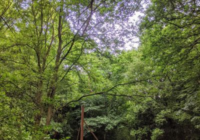 Glen Howe Park Woodland