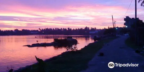 Bolgoda Lake