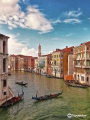 ShoMe Venice Tours