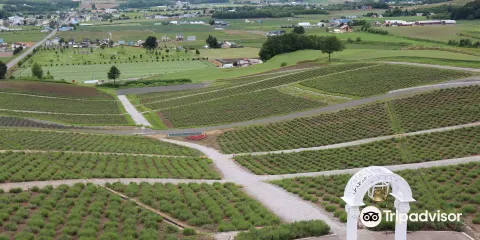 Hinode Lavender Garden
