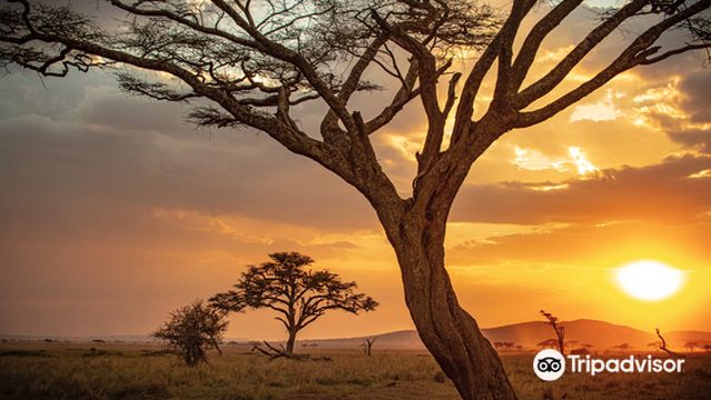 Tanzania Outdoor Adventures