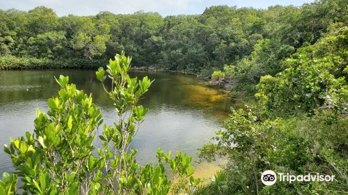 Cottage Pond