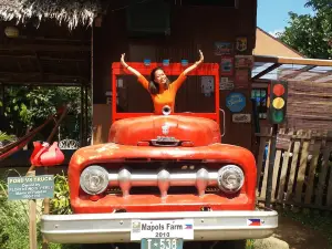 MAPOLS FARM