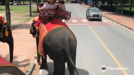 Ayutthaya Elephant Palace & Royal Kraal