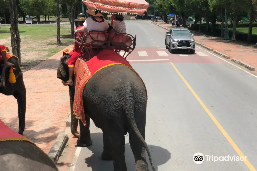 Ayutthaya Elephant Palace & Royal Kraal