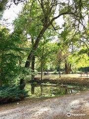 Duke John of Berry Garden