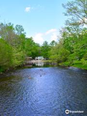 Swinging Bridge