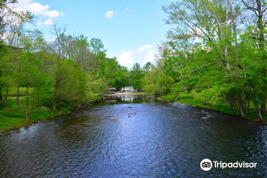 Swinging Bridge