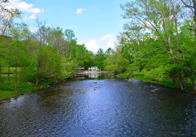 Dark Island Swinging Bridge