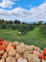 Blackman Homestead Farm