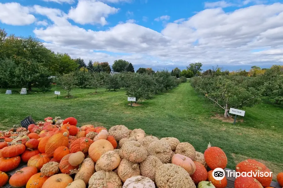 Blackman Homestead Farm