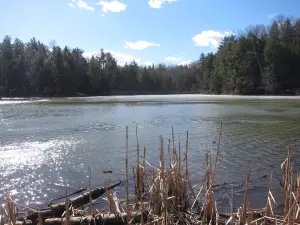 Huron Natural Area