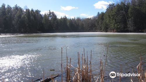 Huron Natural Area