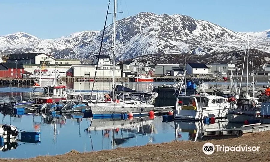 Sommarøy Cruise