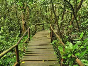 Parque Nacional Bosque Fray Jorge