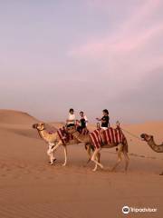 Abu Dhabi Evening Desert Safari