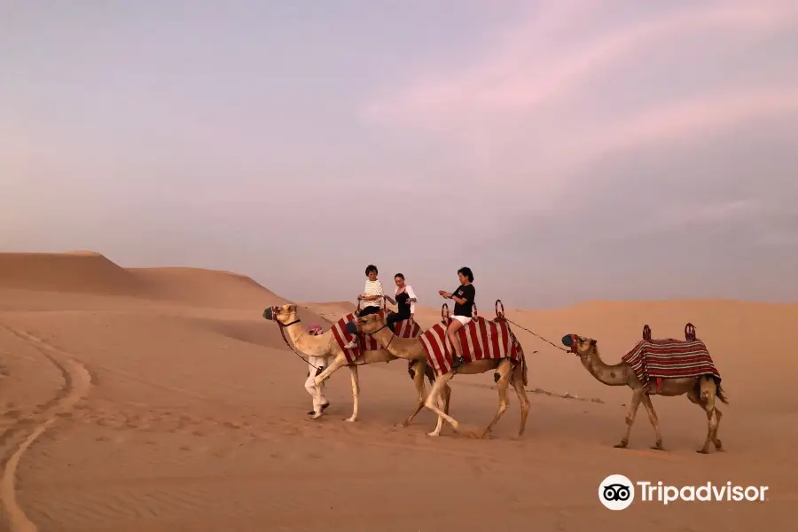 Abu Dhabi Evening Desert Safari