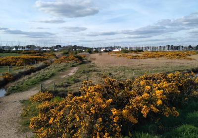 The Solent Way Walk