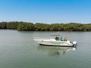 Paradise Fishing Gambia