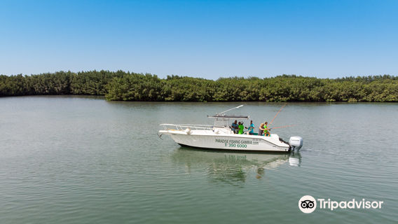 Paradise Fishing Gambia