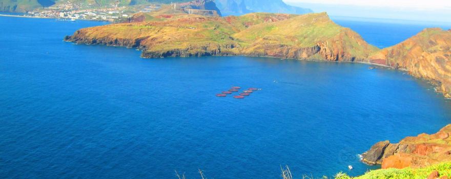 Ponta de São Lourenço