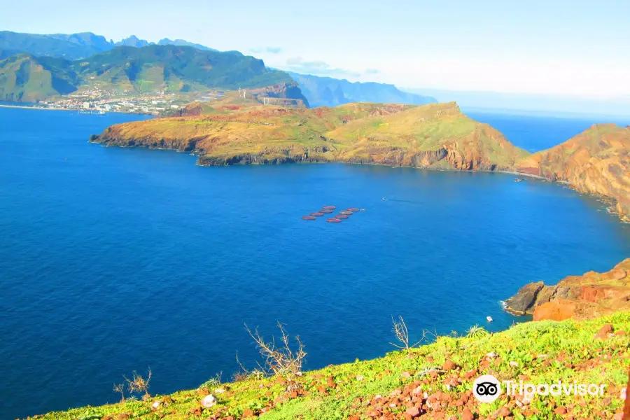 Ponta de São Lourenço