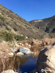 El Salto Canyon & Waterfall