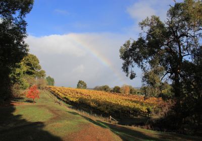 Sunnyhurst Winery