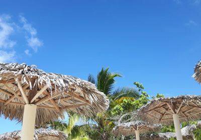 Guardalavaca