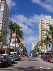 Avenida Gorlero