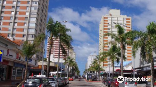 Avenida Gorlero