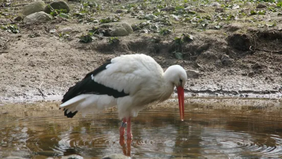 Denmarks Bird Zoo