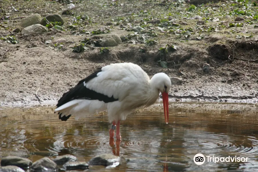 Denmarks Bird Zoo