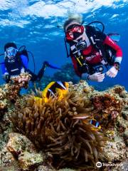 Manta Isrotel Diving Centre