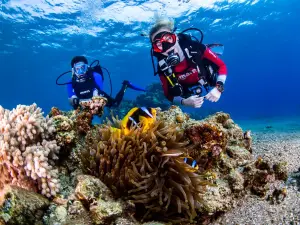 Manta Isrotel Diving Center